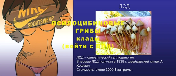 твердый Лабытнанги