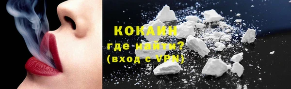 молекула духа Кулебаки