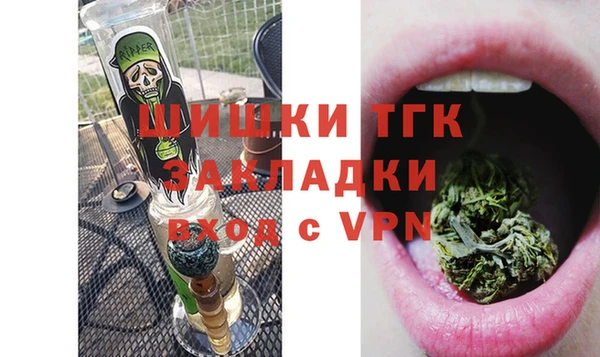 молекула духа Кулебаки