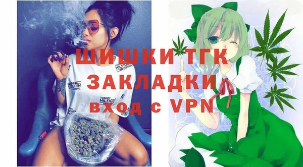 молекула духа Кулебаки