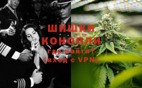 молекула духа Кулебаки