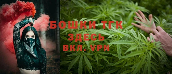 молекула духа Кулебаки