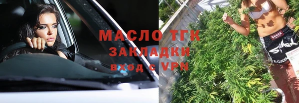молекула духа Кулебаки