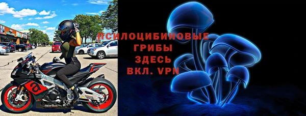 молекула духа Кукмор