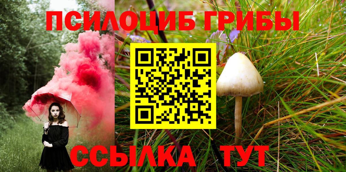 Псилоцибиновые грибы Psilocybine cubensis  Отрадное  Псилоцибиновые грибы ЛСД 