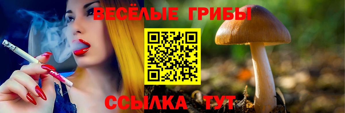 где купить   Псилоцибиновые грибы GOLDEN TEACHER  Вход с VPN  Галлюциногенные грибы прущие грибы  Отрадное 